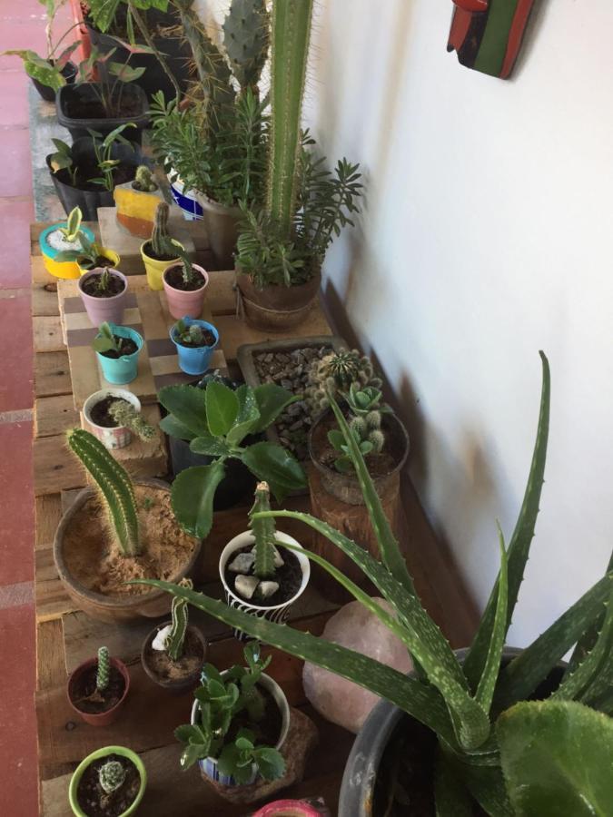 Hostel 35 Canoa Quebrada Kültér fotó